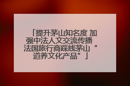 提升茅山知名度 加强中法人文交流传播 法国旅行商踩线茅山“道养文化产品”