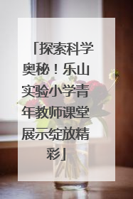 探索科学奥秘！乐山实验小学青年教师课堂展示绽放精彩