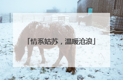 情系姑苏，温暖沧浪