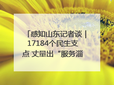 感知山东记者谈｜17184个民生支点 丈量出“服务淄博”的文明温度
