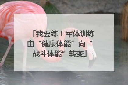 我要练！军体训练由“健康体能”向“战斗体能”转变
