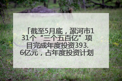 截至5月底，漯河市131个“三个五百亿”项目完成年度投资393.6亿元，占年度投资计划的50.41%——“三个五百亿”项目带动产业提质升级