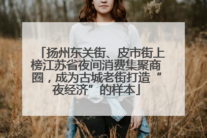 扬州东关街、皮市街上榜江苏省夜间消费集聚商圈，成为古城老街打造“夜经济”的样本