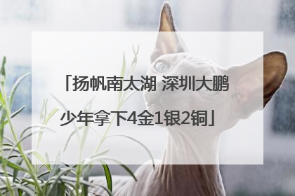 扬帆南太湖 深圳大鹏少年拿下4金1银2铜