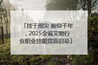 技于指尖 俯仰千年，2025全省文物行业职业技能竞赛启幕