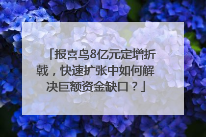 报喜鸟8亿元定增折戟，快速扩张中如何解决巨额资金缺口？