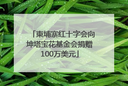 柬埔寨红十字会向坤塔宝花基金会捐赠100万美元