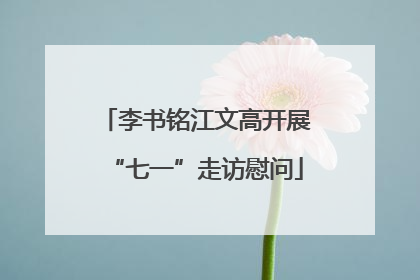 李书铭江文高开展“七一”走访慰问