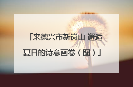 来德兴市新岗山 邂逅夏日的诗意画卷（图）