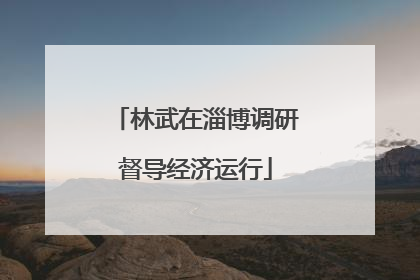 林武在淄博调研督导经济运行