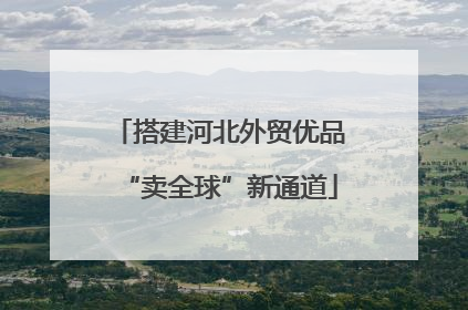 搭建河北外贸优品“卖全球”新通道