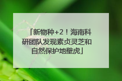 新物种+2！海南科研团队发现素贞灵芝和自然保护地壁虎