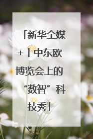 新华全媒+丨中东欧博览会上的“数智”科技秀