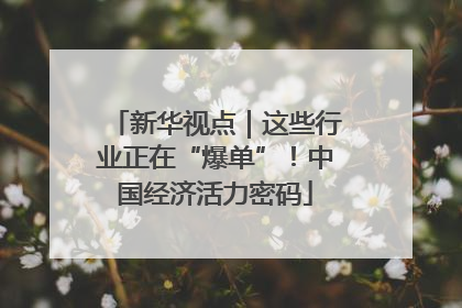 新华视点｜这些行业正在“爆单”！中国经济活力密码