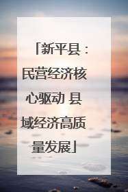新平县：民营经济核心驱动 县域经济高质量发展