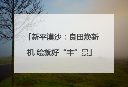 新平漠沙：良田焕新机 绘就好“丰”景