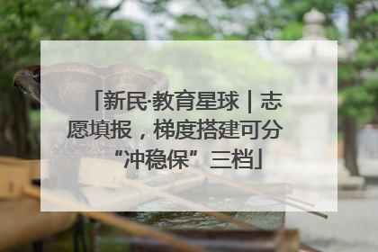 新民·教育星球｜志愿填报，梯度搭建可分“冲稳保”三档
