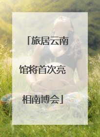 旅居云南馆将首次亮相南博会