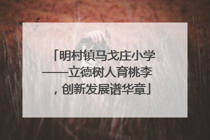 明村镇马戈庄小学——立德树人育桃李，创新发展谱华章