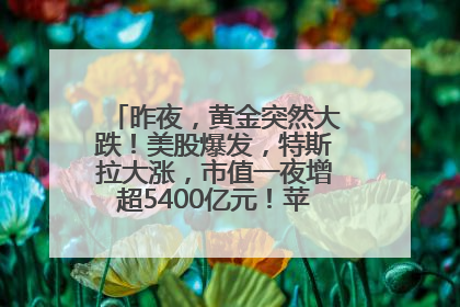 昨夜，黄金突然大跌！美股爆发，特斯拉大涨，市值一夜增超5400亿元！苹果传来大消息