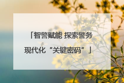 智警赋能 探索警务现代化“关键密码”