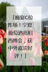 晚宴C位炸场！宁夏葡萄酒亮相西博会，获中外嘉宾好评！