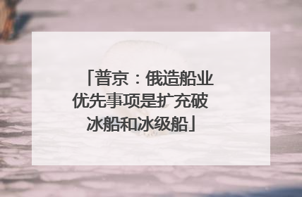 普京：俄造船业优先事项是扩充破冰船和冰级船