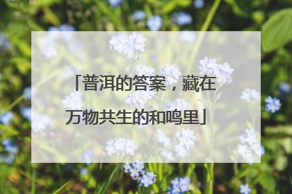 普洱的答案，藏在万物共生的和鸣里