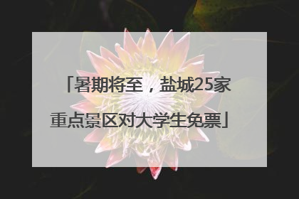 暑期将至，盐城25家重点景区对大学生免票