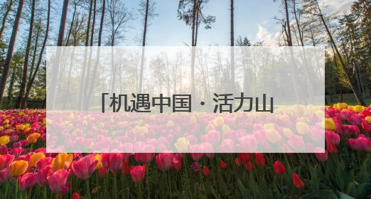 机遇中国・活力山东丨摄影大师聚焦临沂新明辉商城，展现商贸物流新风貌