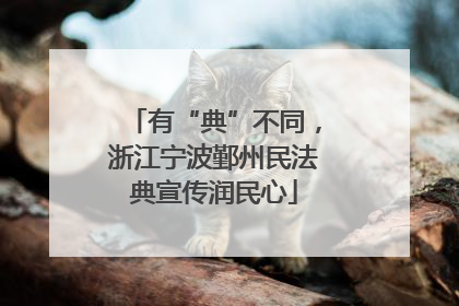 有“典”不同，浙江宁波鄞州民法典宣传润民心