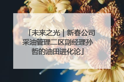 未来之光｜新春公司采油管理二区副经理孙哲的油田进化论