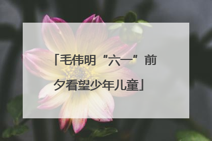 毛伟明“六一”前夕看望少年儿童