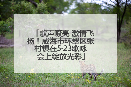 歌声嘹亮 激情飞扬！威海市环翠区张村镇在5·23歌咏会上绽放光彩