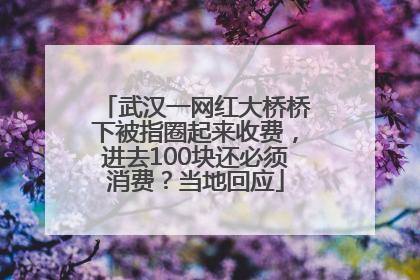 武汉一网红大桥桥下被指圈起来收费，进去100块还必须消费？当地回应