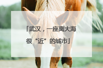 武汉，一座离大海很“近”的城市