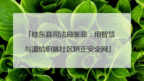 桂东县司法局张菲：用智慧与温情织就社区矫正安全网
