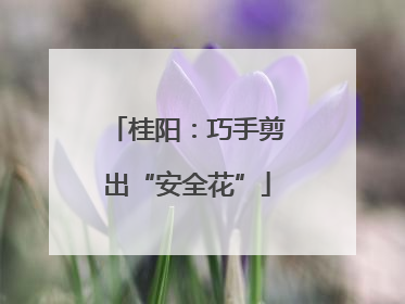 桂阳：巧手剪出“安全花”