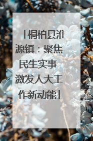 桐柏县淮源镇：聚焦民生实事 激发人大工作新动能