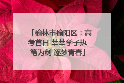 榆林市榆阳区：高考首日 莘莘学子执笔为剑 逐梦青春