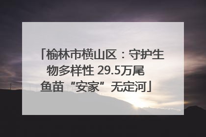 榆林市横山区：守护生物多样性 29.5万尾鱼苗“安家”无定河