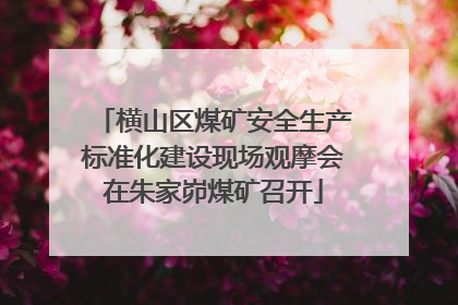 横山区煤矿安全生产标准化建设现场观摩会在朱家峁煤矿召开