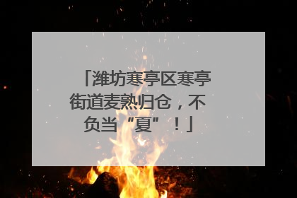 潍坊寒亭区寒亭街道麦熟归仓，不负当“夏”！