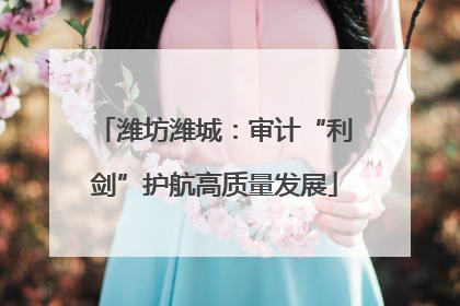 潍坊潍城：审计“利剑”护航高质量发展