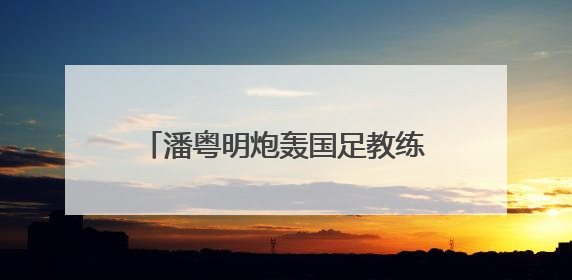 潘粤明炮轰国足教练伊万：一个装傻不辞职的所谓教练，你指望它拯救中国足球！此前曾多次发文评价国足