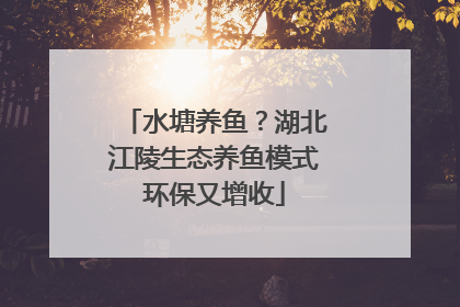 水塘养鱼？湖北江陵生态养鱼模式环保又增收