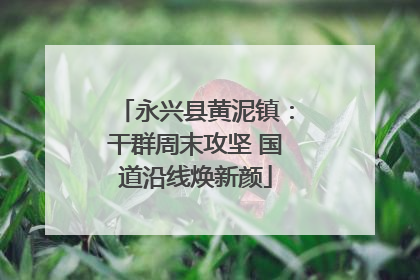 永兴县黄泥镇：干群周末攻坚 国道沿线焕新颜