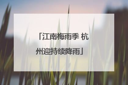 江南梅雨季 杭州迎持续降雨
