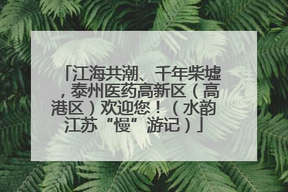 江海共潮、千年柴墟，泰州医药高新区（高港区）欢迎您！（水韵江苏“慢”游记）