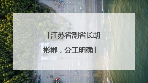 江苏省副省长胡彬郴，分工明确